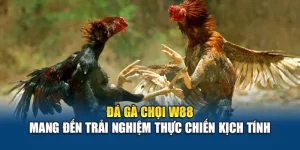 Đá Gà Chọi W88 Mang Đến Trải Nghiệm Thực Chiến Kịch Tính