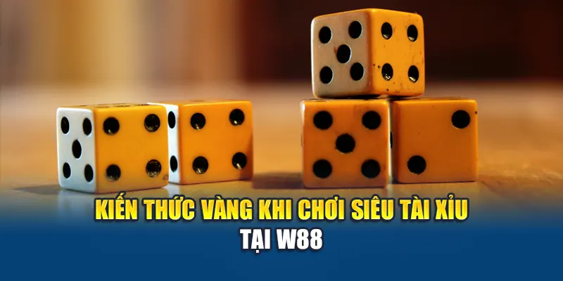 Kiến thức vàng khi chơi Siêu Tài Xỉu  tại W88