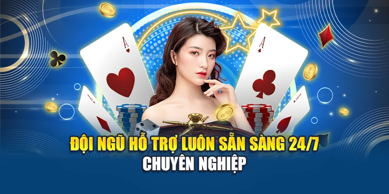 Đội ngũ hỗ trợ luôn sẵn sàng 24/7 chuyên nghiệp